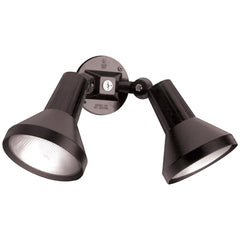 SATCO-NUVO SF77-701 LIGHTING, CONTROLS & ACCESSORIES