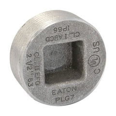 Eaton PLG10 4IN Recessed Head Plug
