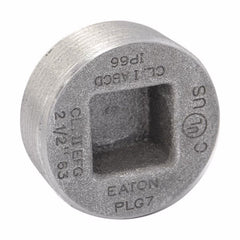 Multiple PLG2 3/4IN Recessed Head Plug