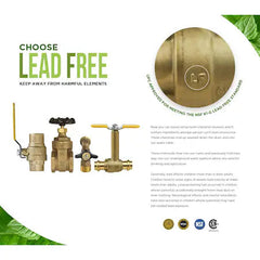 EVERFLOW 205T212-NL GATE VALVES