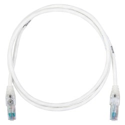 Belden C6T1109002 Cat6+ Patch Cord, Bonded-Pair, 4-Pair, 24 AWG Solid, CMP, T568A/B, MOD, White, 2ft