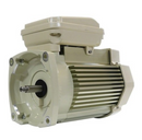 PENTAIR 354817S BLOWER MOTORS