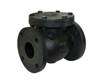 Jomar 105-725 C.I. Swing Check Valve Class 125