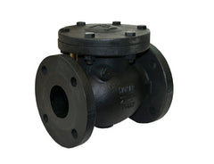 Jomar 105-725 C.I. Swing Check Valve Class 125