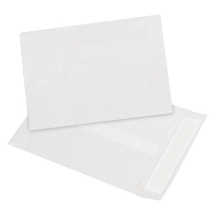BSC PREFERRED Bsc Preferred TYF0609WH Tyvek Envelopes 100 Per Case