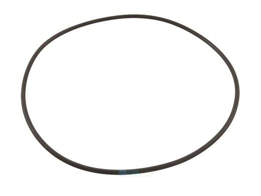 HAYWARD HCXP6016A O-RINGS & GASKETS