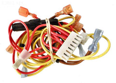 Jandy R0457700 Wire Harness, Zodiac Jandy Lxi, Control