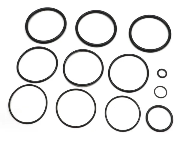 Jandy R0358000 O-Ring Replacement Kit