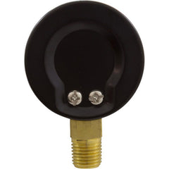 GENERIC IPG602-4LNL PRESSURE GAUGES