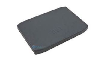 RAYPAK Raypak 013886F Pagoda Top | Cool Dark Gray