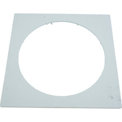 Carvin 43305705-WHT Skimmer Deck Plate