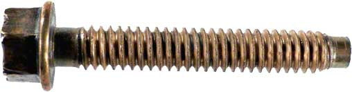 185695785.jpg