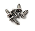 Polaris A30 Polaris SS Pan Head Screw, #10 x 1/2