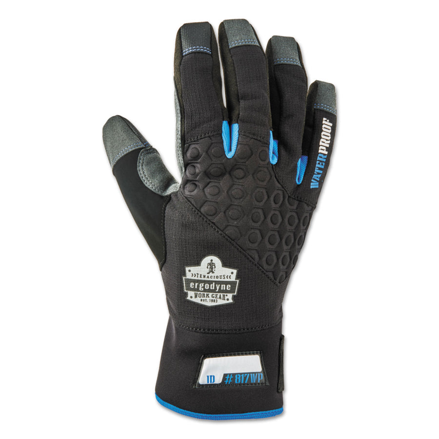 Ergodyne 17373 ProFlex 817WP Thermal Waterproof Utility Gloves, Black, Medium