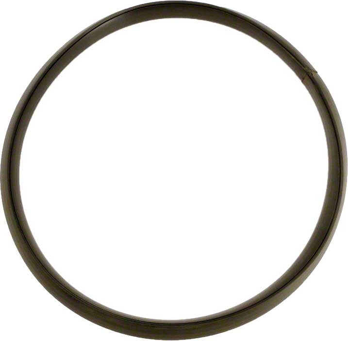 Pentair R36046 Gasket, Baker Hydro Ring