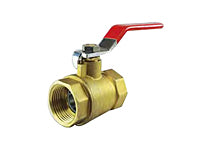 Jason Industrial BV300BF Brass Ball Valve FP