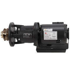 Laars RA2117201 1/3 HP Pump & Motor Assembly