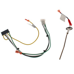 Rheem-Ruud SP20717 FlameSensor KIT GHE