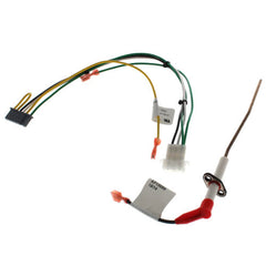 Rheem-Ruud SP20717 FlameSensor KIT GHE