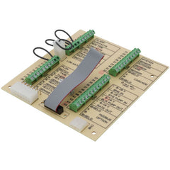 Lochinvar 100208459 Low Voltage Board EA