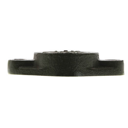 TACO Taco 1600-032RP 2 in. Cast Iron Flange Set