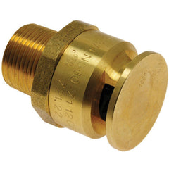 Rheem SP623336 Brass and Plastic Vacuum Relief Valve