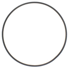 Bell & Gossett P48690 Volute Gasket