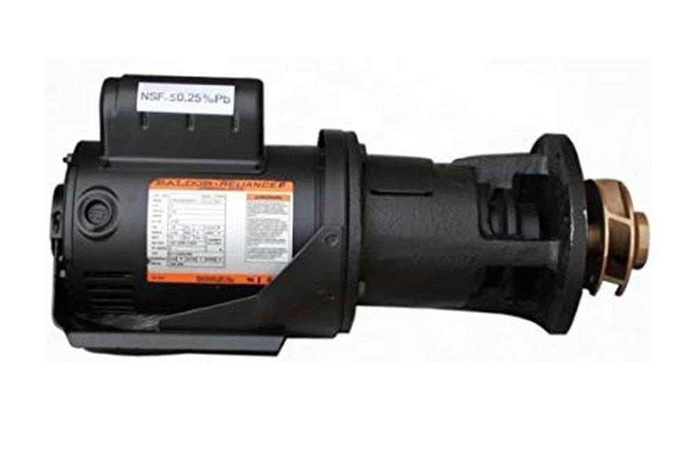 Laars RA2117202 1/2 hp Impeller Pump 115V LRA2117202