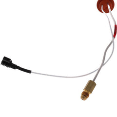 Rheem-Ruud AP14700D-1 Pilot Assembly - DV - LP