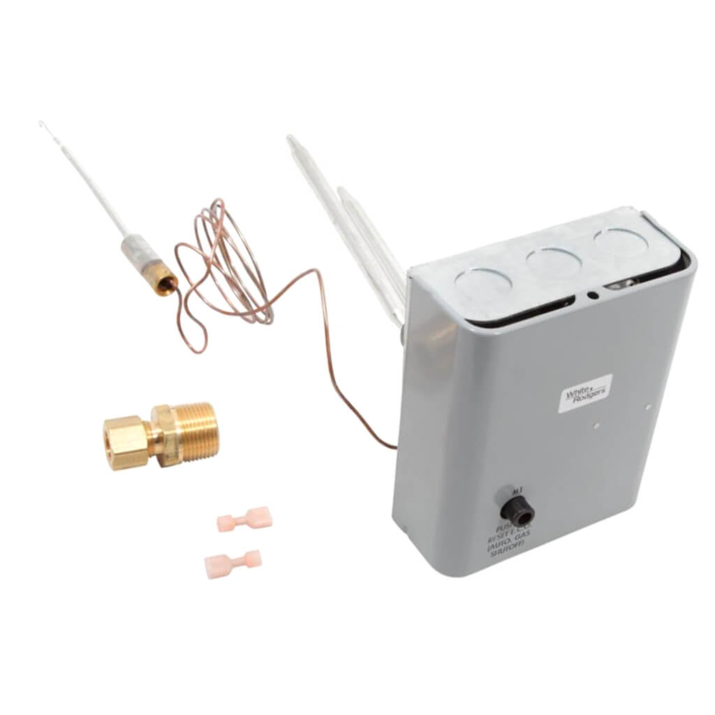 AO SMITH AO Smith 100109916 Manual Temp. Reset Dual Control - 3/4 Replacement MPN