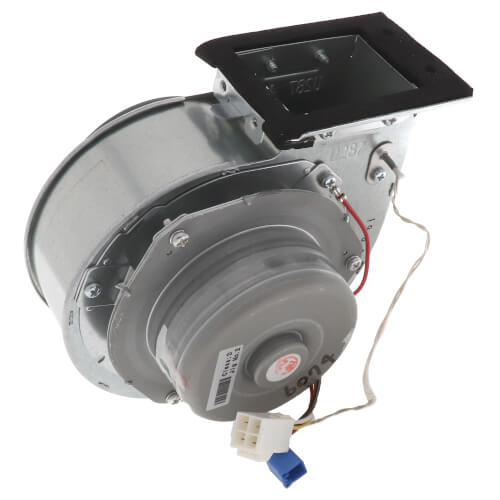 187187044.jpg