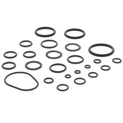RHEEM RTG20206 O-RINGS & GASKETS