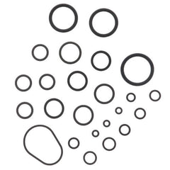 Rheem-Ruud RTG20206 ORing Kit Palona