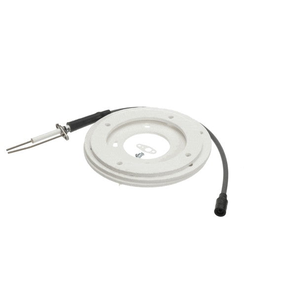 AO SMITH 100191120 IGNITOR ASSEMBLIES