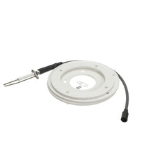 AO SMITH 100191120 IGNITOR ASSEMBLIES