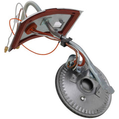 Rheem-Ruud AM44966 Burner Assembly