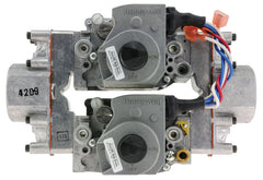 Rheem-Ruud AP14326N 1 24V Dual Parallel NG Valve