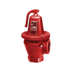 Bell & Gossett 110121 Safety Relief Valve With 3/4 in NPT Tapping, 3/4 in Nominal, NPT End Style, 125 psig Pressure, Brass Body