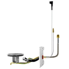 Rheem-Ruud AM42409 Burner Assembly