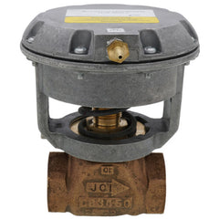 Johnson Controls VG7241LT+3008B Globe Valve Assembly 2 Way 3/4 in.