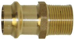 Apollo 10075808 Apollopress Fitting 3/4 Male Adapter