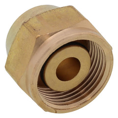 Uponor A4020500 QS-Style Compression Fitting Assembly R20 x 1/2 in