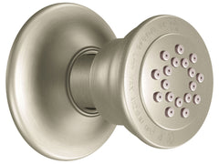 Moen A501BN Body Spray in Brushed Nickel