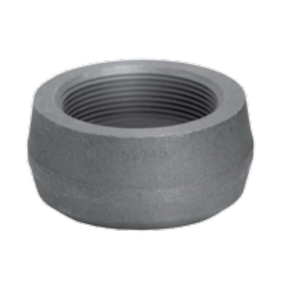 Anvil 766260392 Anvilet: Forged Steel, 1/2 In Pipe Size, Female Npt, Class 3000