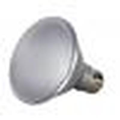 SATCO-NUVO S9419 LIGHTING, CONTROLS & ACCESSORIES