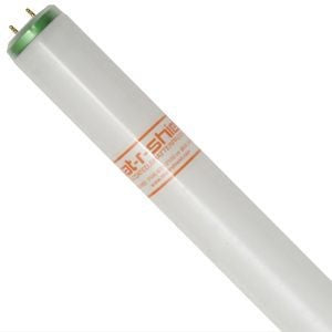 Shat-R-Shield 30083 SHA Straight Shatter-Resistant Fluorescent Lamp 40 W 48 in