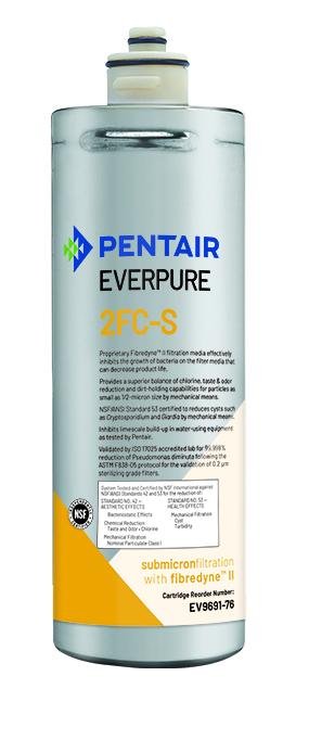 PENTAIR EV969176 AIR CLEANER REPLACEMENT PARTS