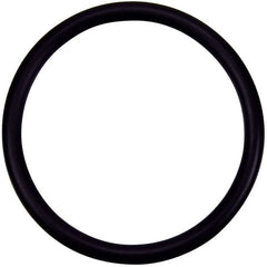 PENTAIR 274494Z O-RINGS & GASKETS