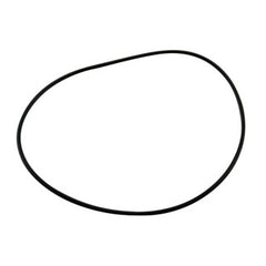 LOCHINVAR 100233698 GASKETS