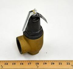 LOCHINVAR 100208448 RELIEF VALVES